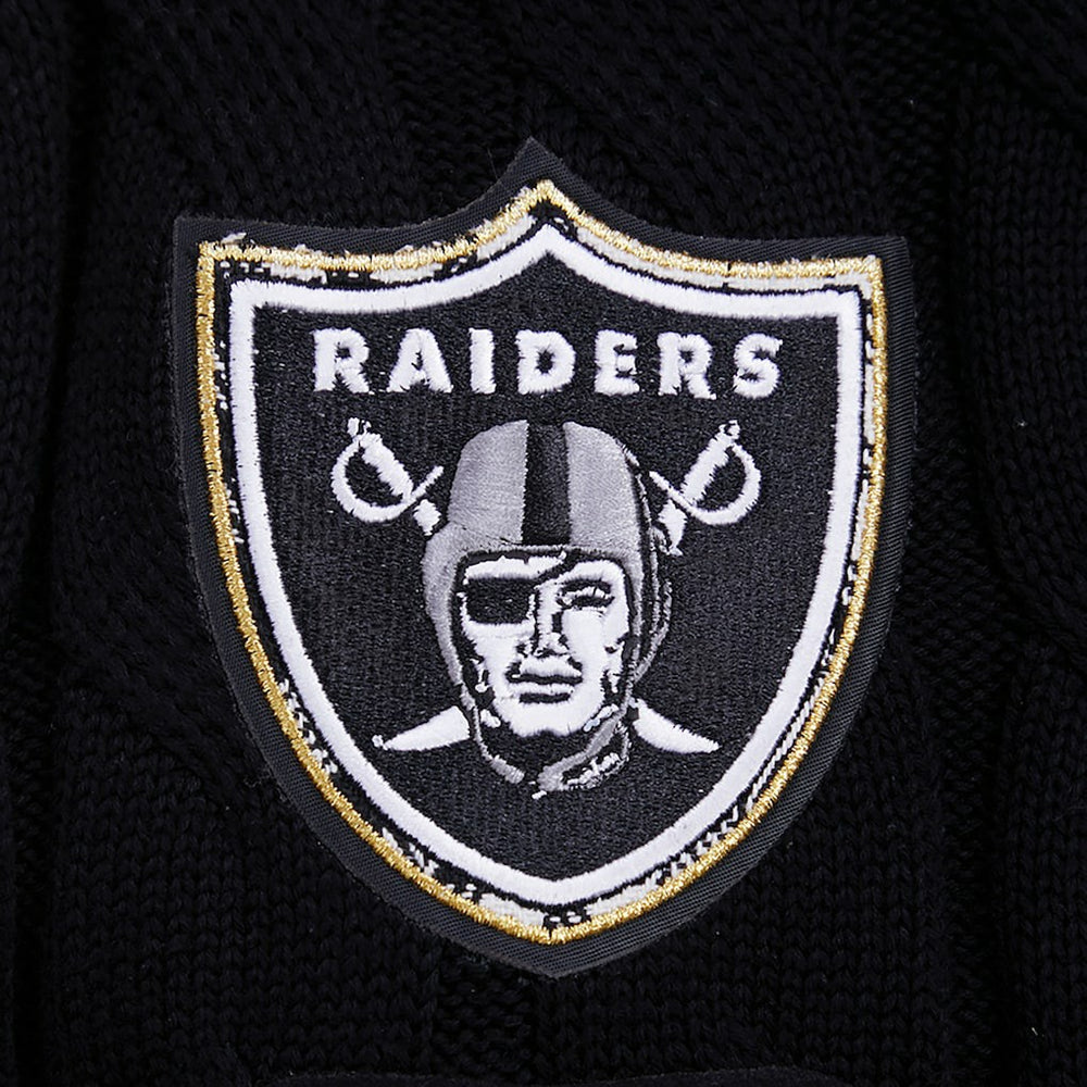 NFL Las Vegas Raiders Pro Standard Women's Prep V-Neck Pullover Sweater