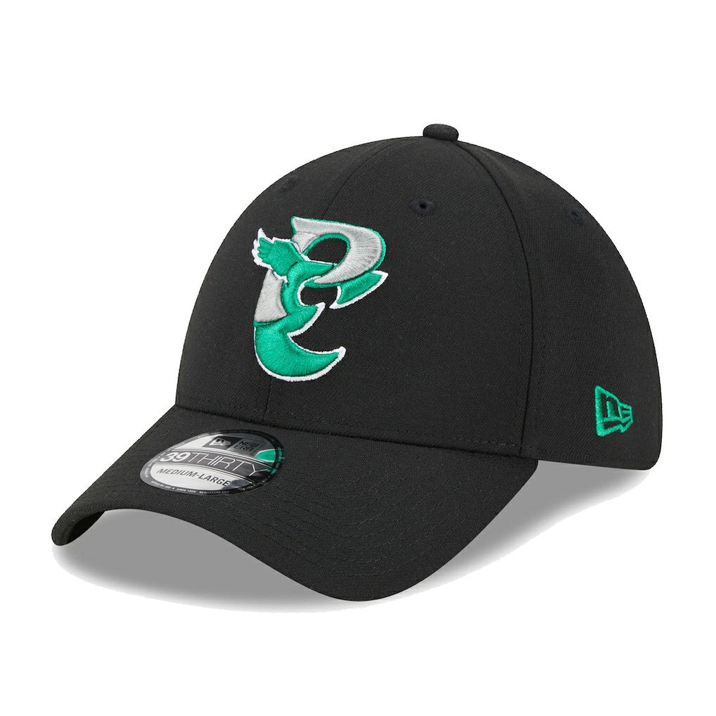 NFL Philadelphia Eagles City Originals 39THIRTY Flex Hat