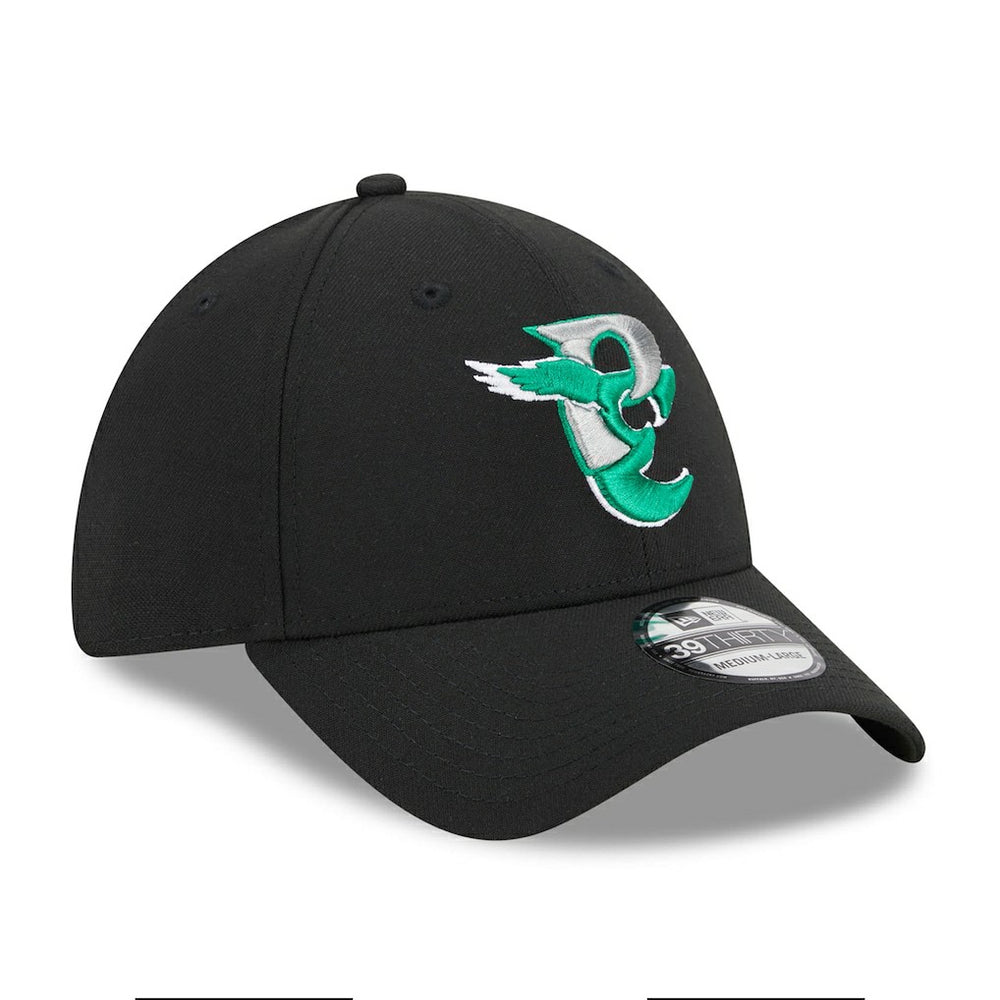 NFL Philadelphia Eagles City Originals 39THIRTY Flex Hat