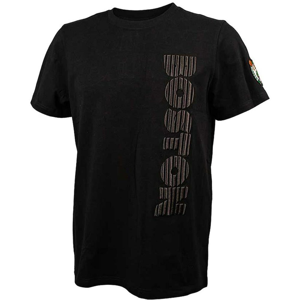 Boston Celtics FISLL 3D Puff Print Sliced Logo T-Shirt - Black on sale