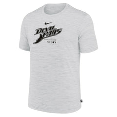 Tampa Bay Rays Authentic Collection Velocity Performance Practice T-Shirt - Ash | Nike