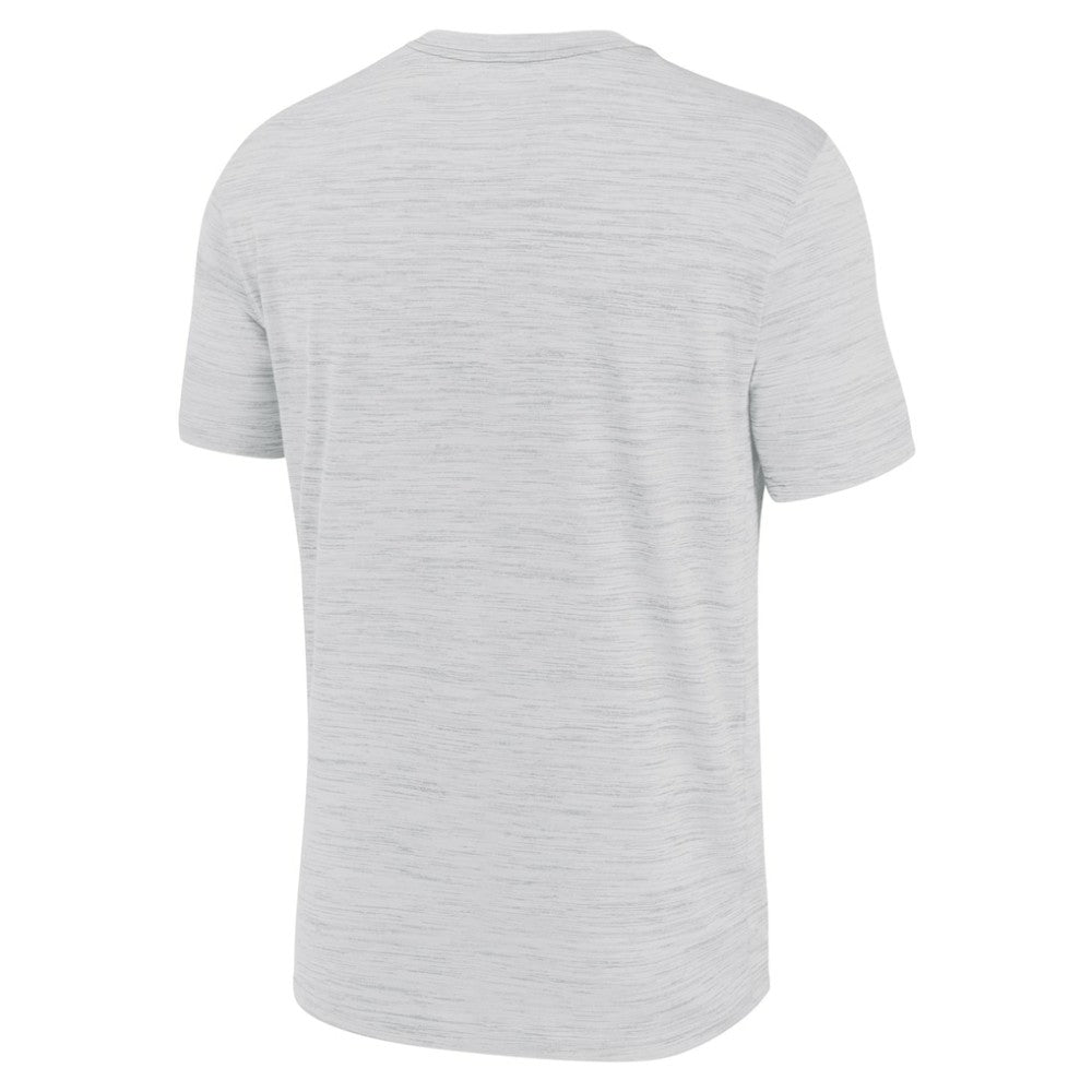 Tampa Bay Rays Authentic Collection Velocity Performance Practice T-Shirt - Ash | Nike