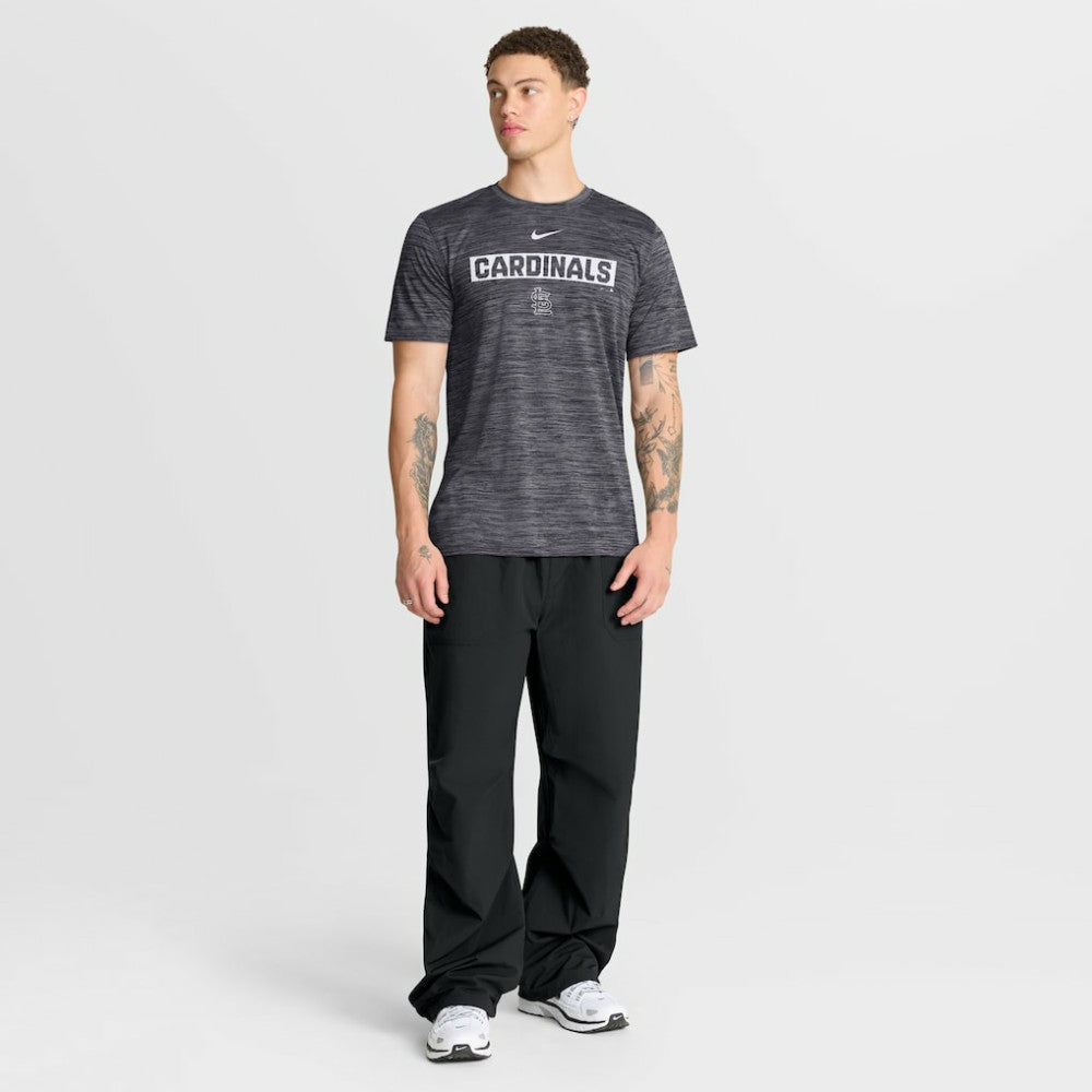 St. Louis Cardinals Velocity Dri-FIT T-Shirt - Black | Nike