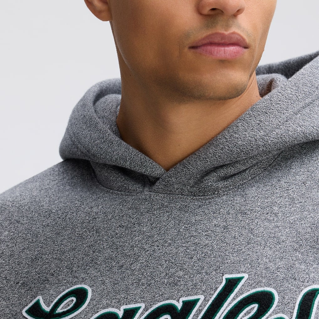 NFL Philadelphia Eagles IconicFleece Tipped Hoodie
