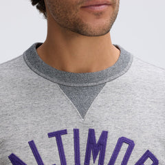 NFL Baltimore Ravens IconicFleece Pocket Sweatshirt