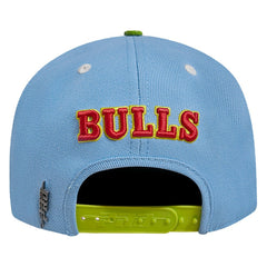 Chicago Bulls Pro Standard Retro Program 2-Tone Snapback Hat - Light Blue/Green discount