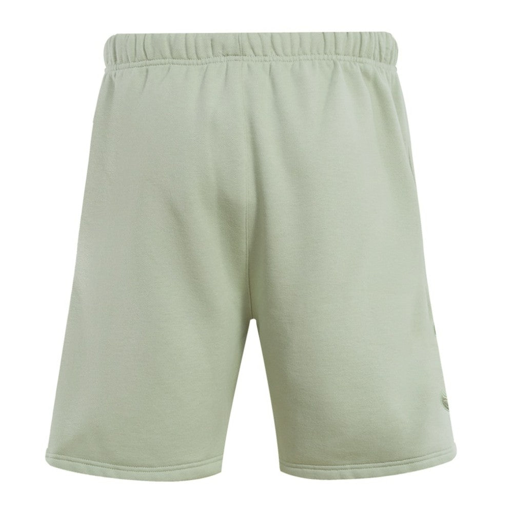 Boston Red Sox Pro Standard Neutral Fleece Shorts - Light Green