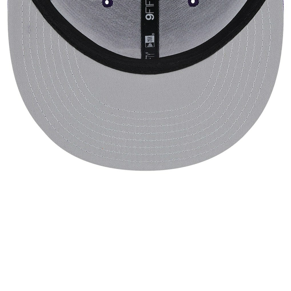 NFL Minnesota Vikings Main Trucker 9FIFTY Snapback Hat