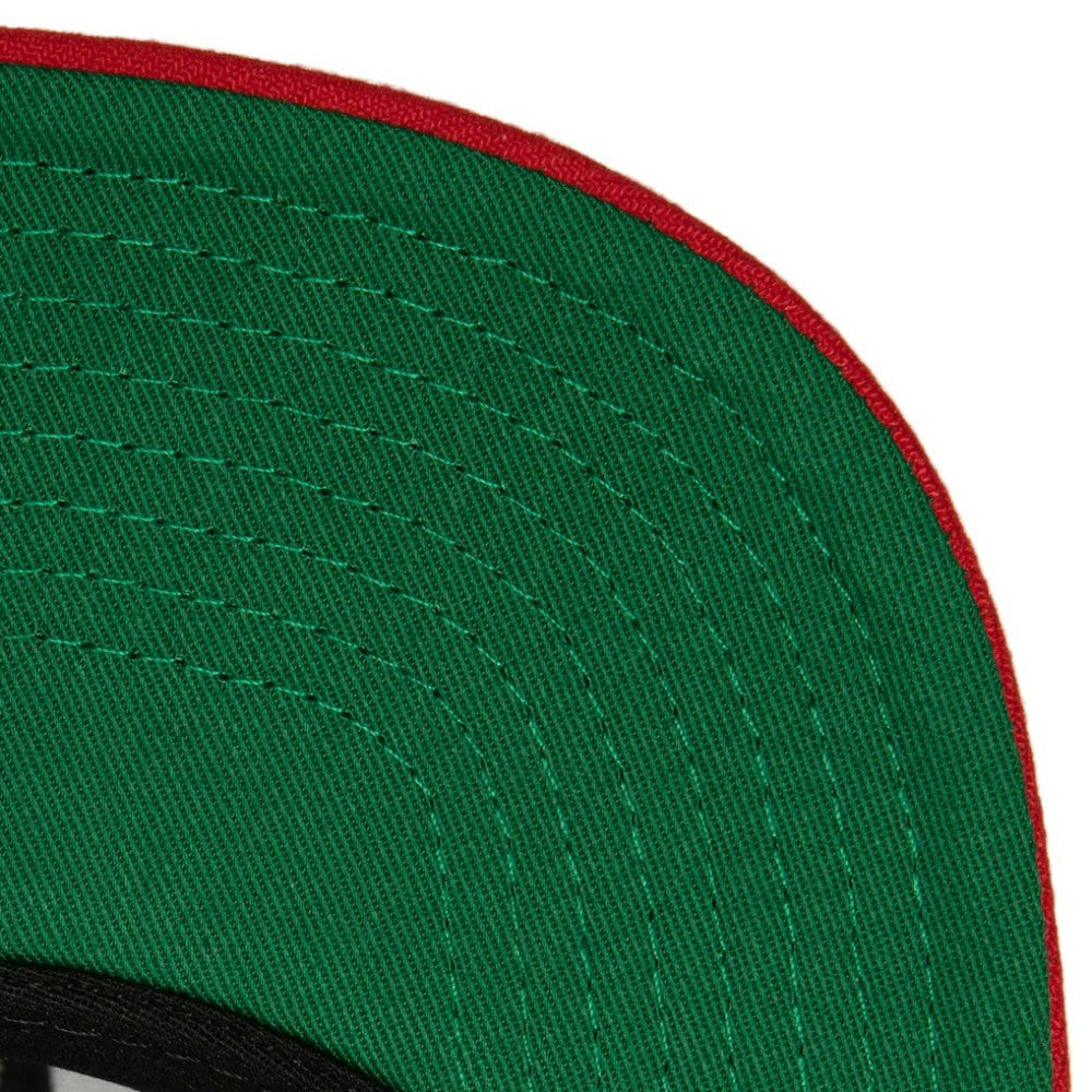 Florida Panthers Mitchell & Ness Core Team Ground 2.0 Snapback Hat