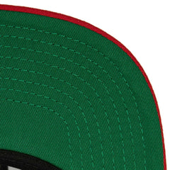 Florida Panthers Mitchell & Ness Core Team Ground 2.0 Snapback Hat