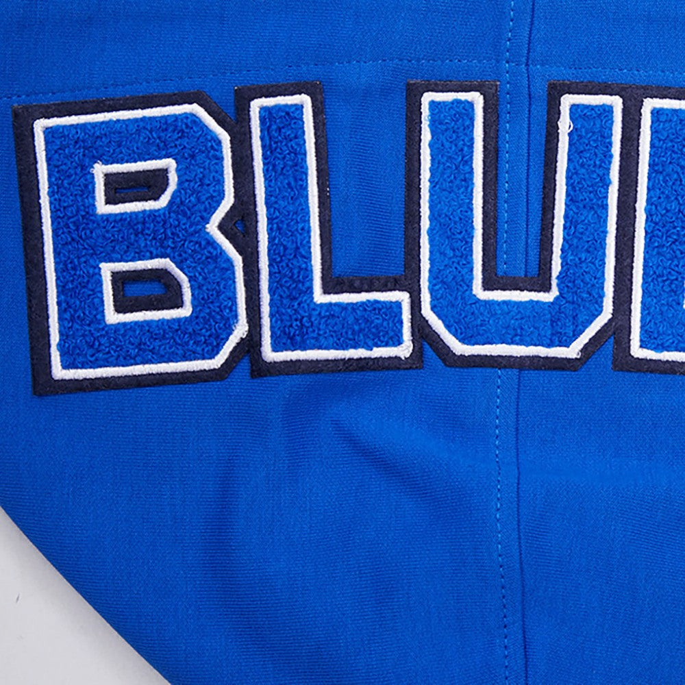 St. Louis Blues Pro Standard Classic Pullover Hoodie
