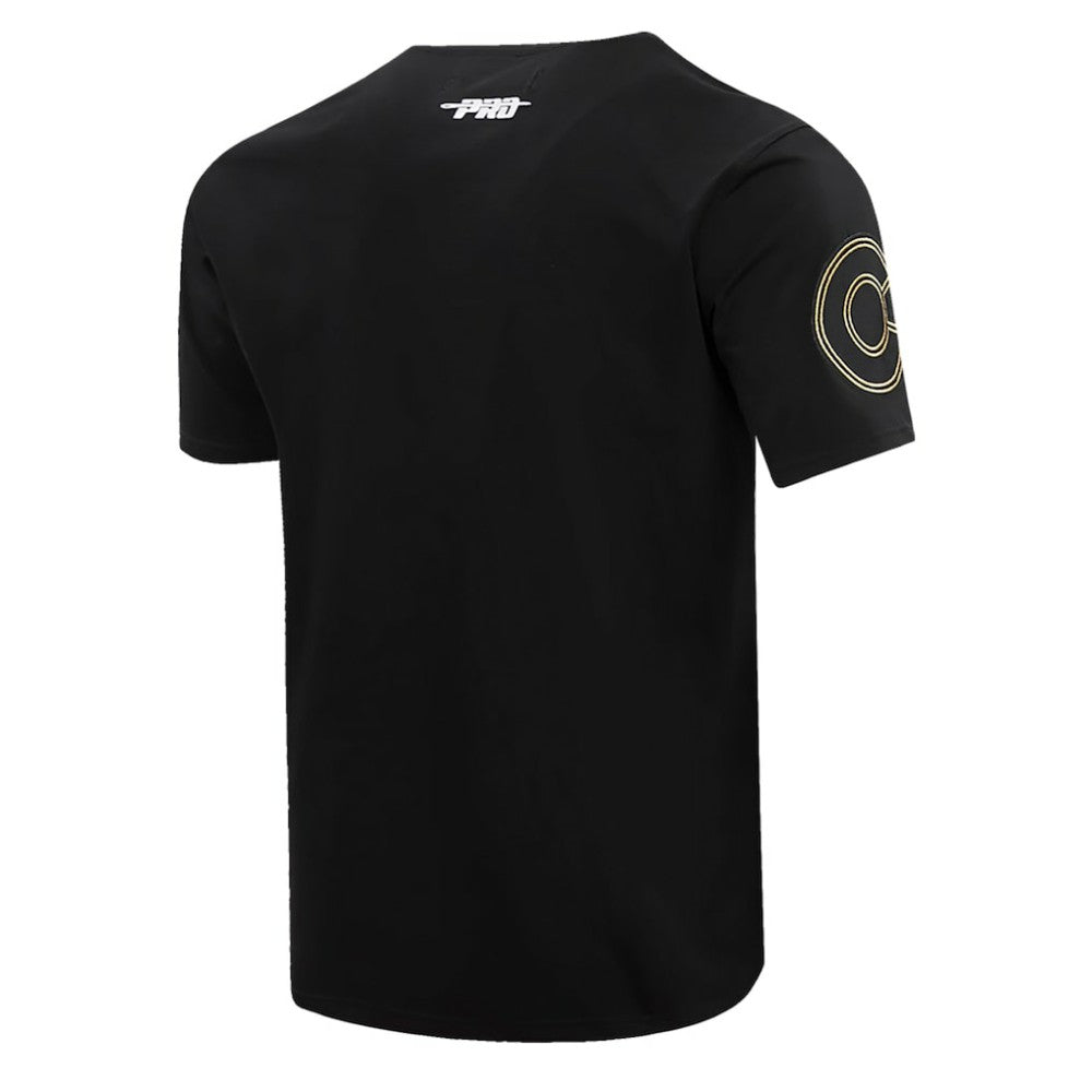 Colorado Avalanche Pro Standard Wordmark T-Shirt