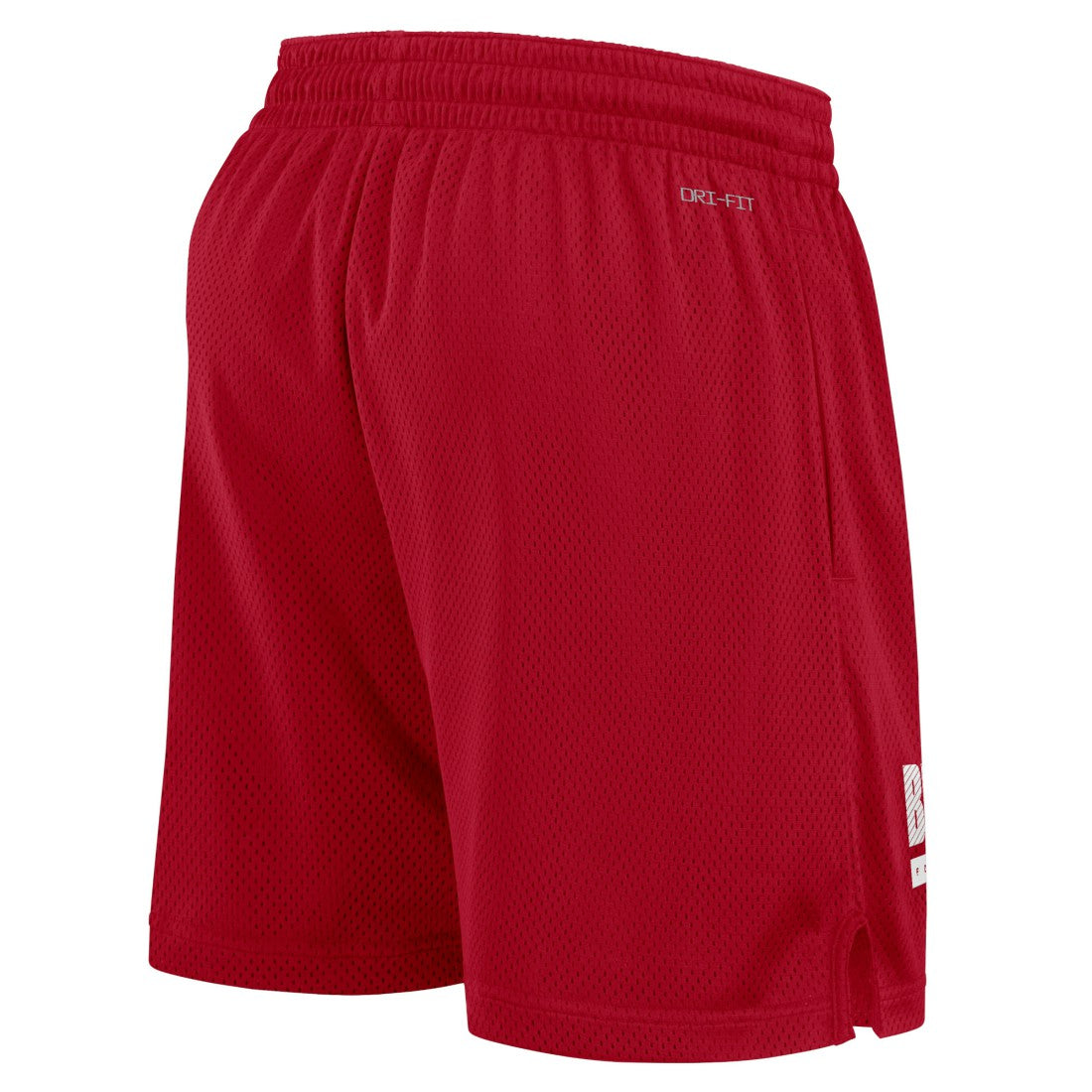 NFL Tampa Bay Buccaneers 2024 Sideline Performance Mesh Shorts