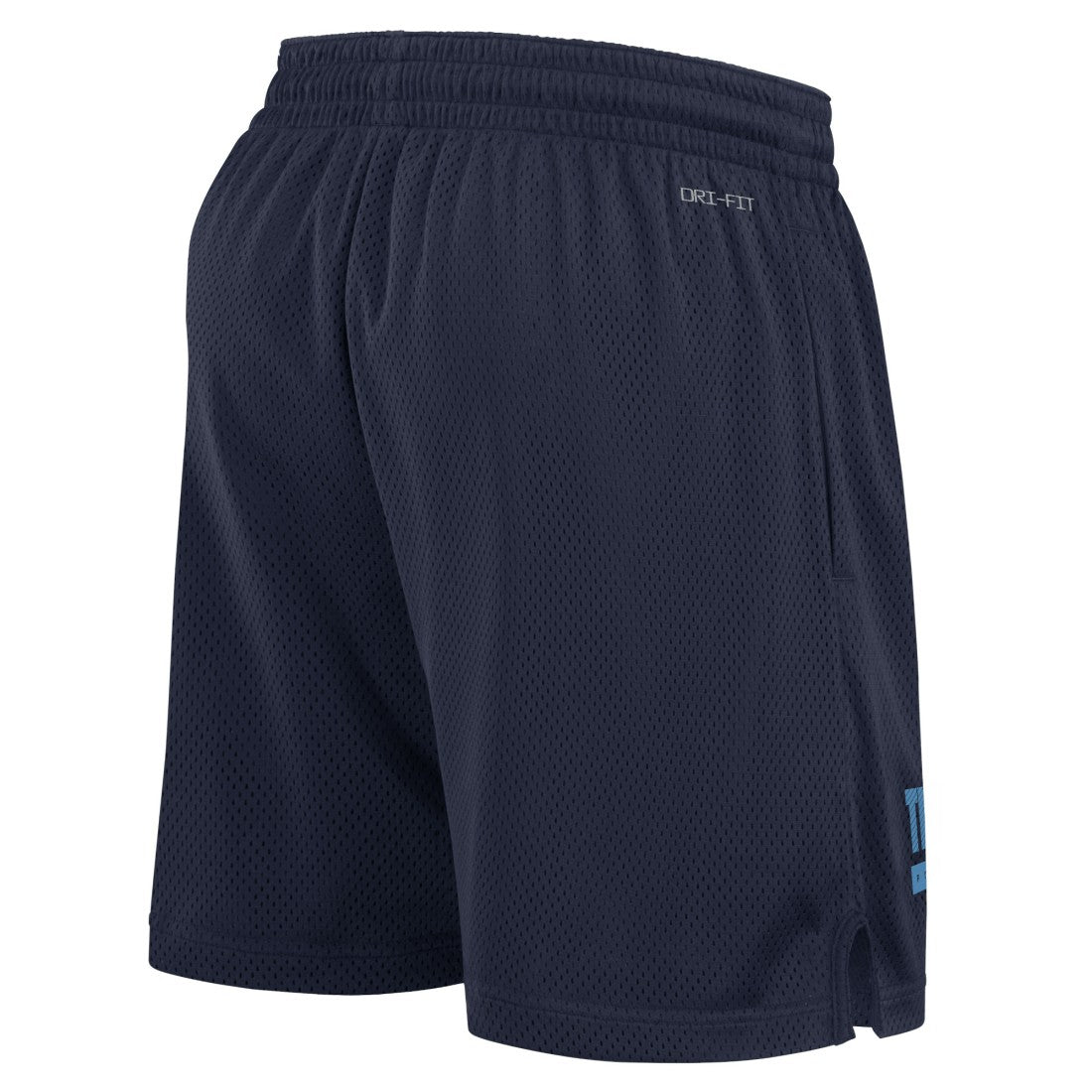 NFL Tennessee Titans 2024 Sideline Performance Mesh Shorts