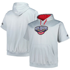 New Orleans Pelicans Big & Tall Logo Pullover Hoodie - Silver | Fanatics shop