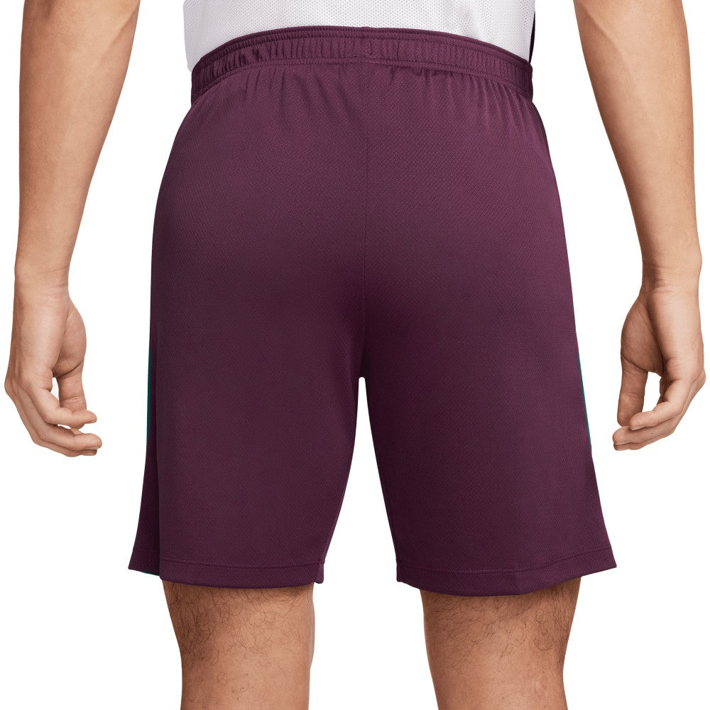 Paris Saint-Germain 2024/25 Strike Shorts / Soccer Discount