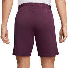 Paris Saint-Germain 2024/25 Strike Shorts / Soccer Discount