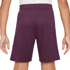 Paris Saint-Germain Youth 2024/25 Strike Performance Shorts / Soccer Outlet
