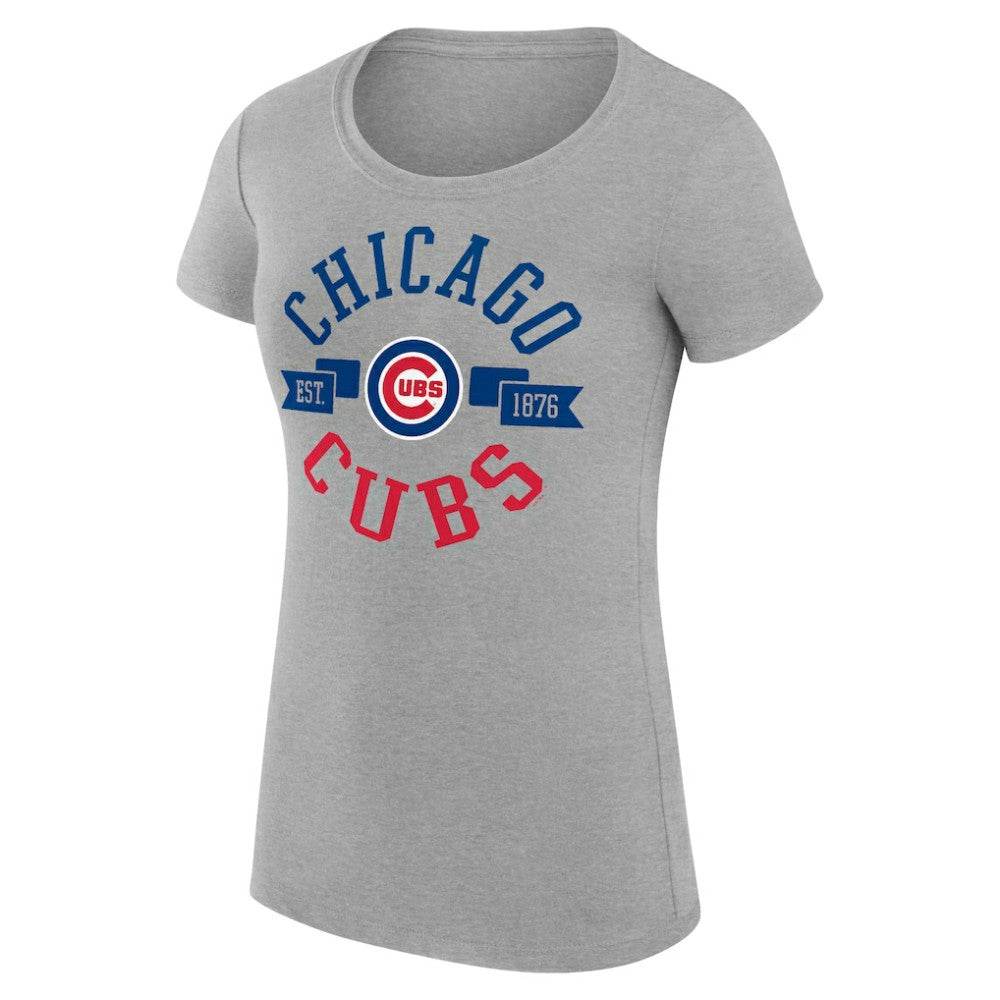 Chicago Cubs G-III 4Her by Carl Banks Women's Super-Slim Fit Lightweight City Graphic T-Shirt - Heather Gray