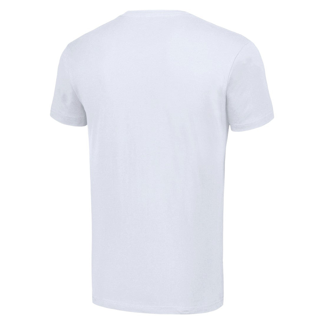 NFL Detroit Lions Starter Tailsweep T-Shirt