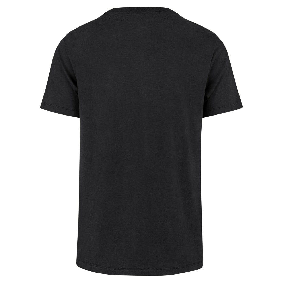NFL Detroit Lions '47 Regional Franklin T-Shirt