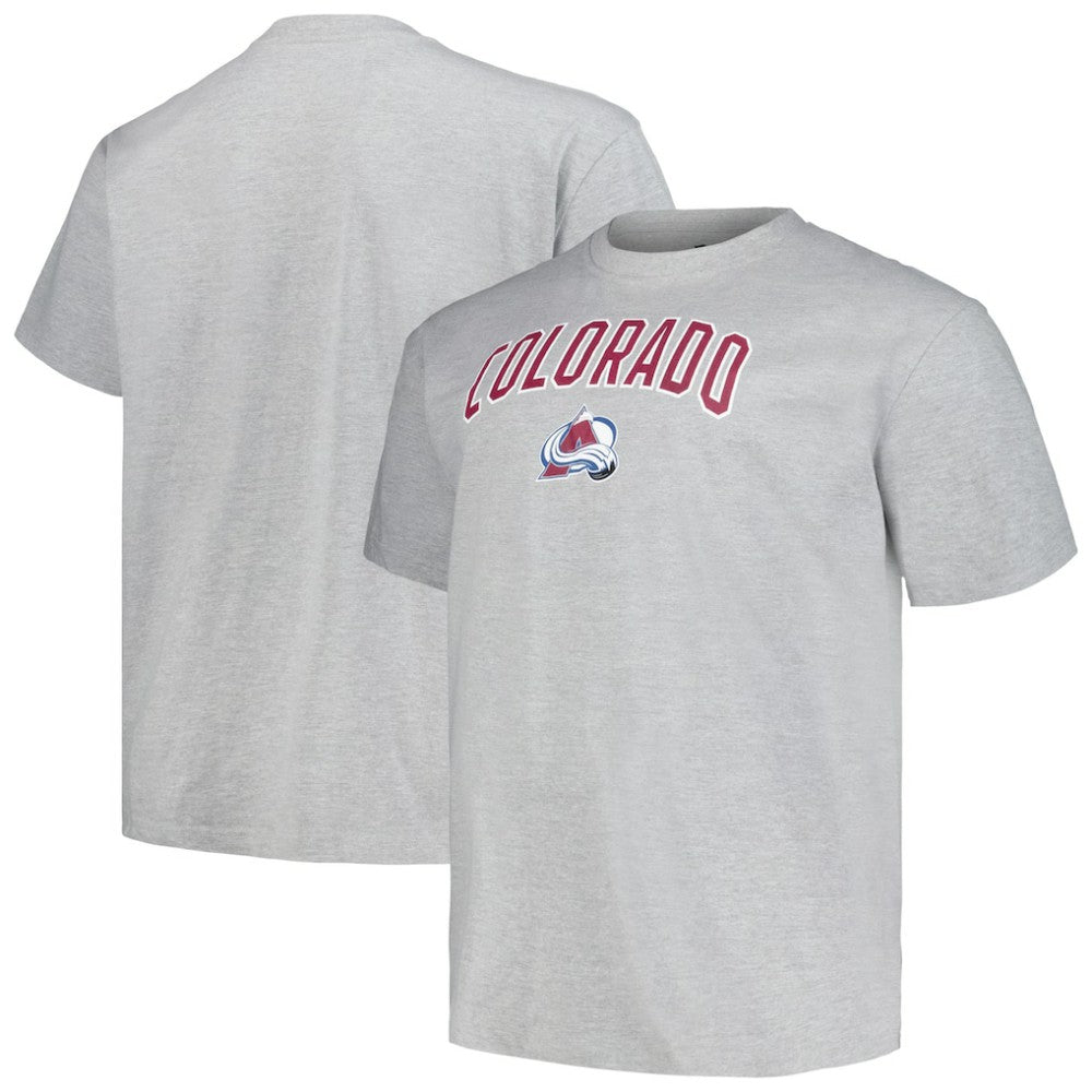 Colorado Avalanche Profile Big & Tall Arch Over Logo T-Shirt