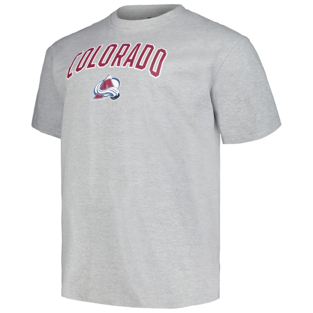 Colorado Avalanche Profile Big & Tall Arch Over Logo T-Shirt