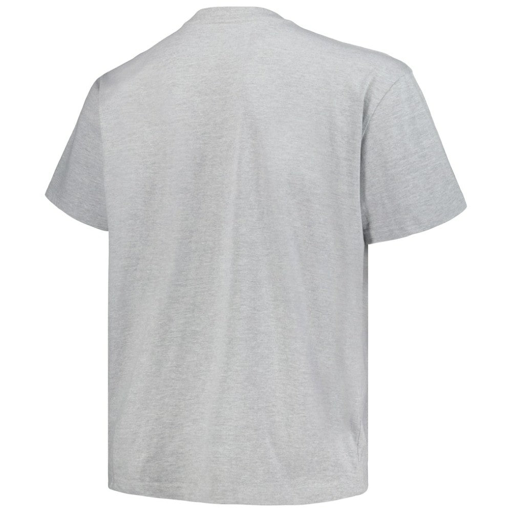 Colorado Avalanche Profile Big & Tall Arch Over Logo T-Shirt