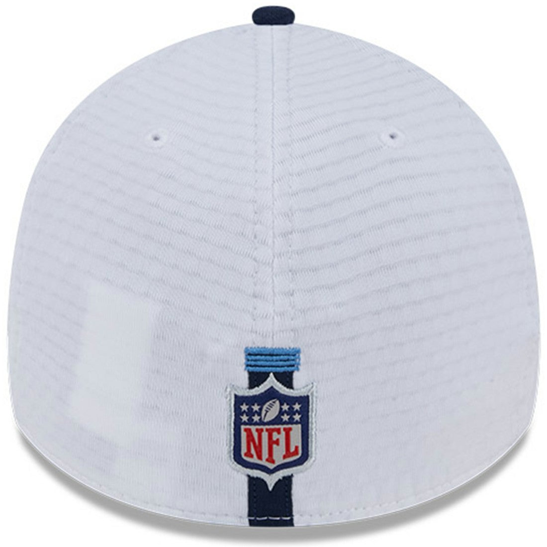 NFL Tennessee Titans 2024 NFL Training Camp 39THIRTY Flex Hat