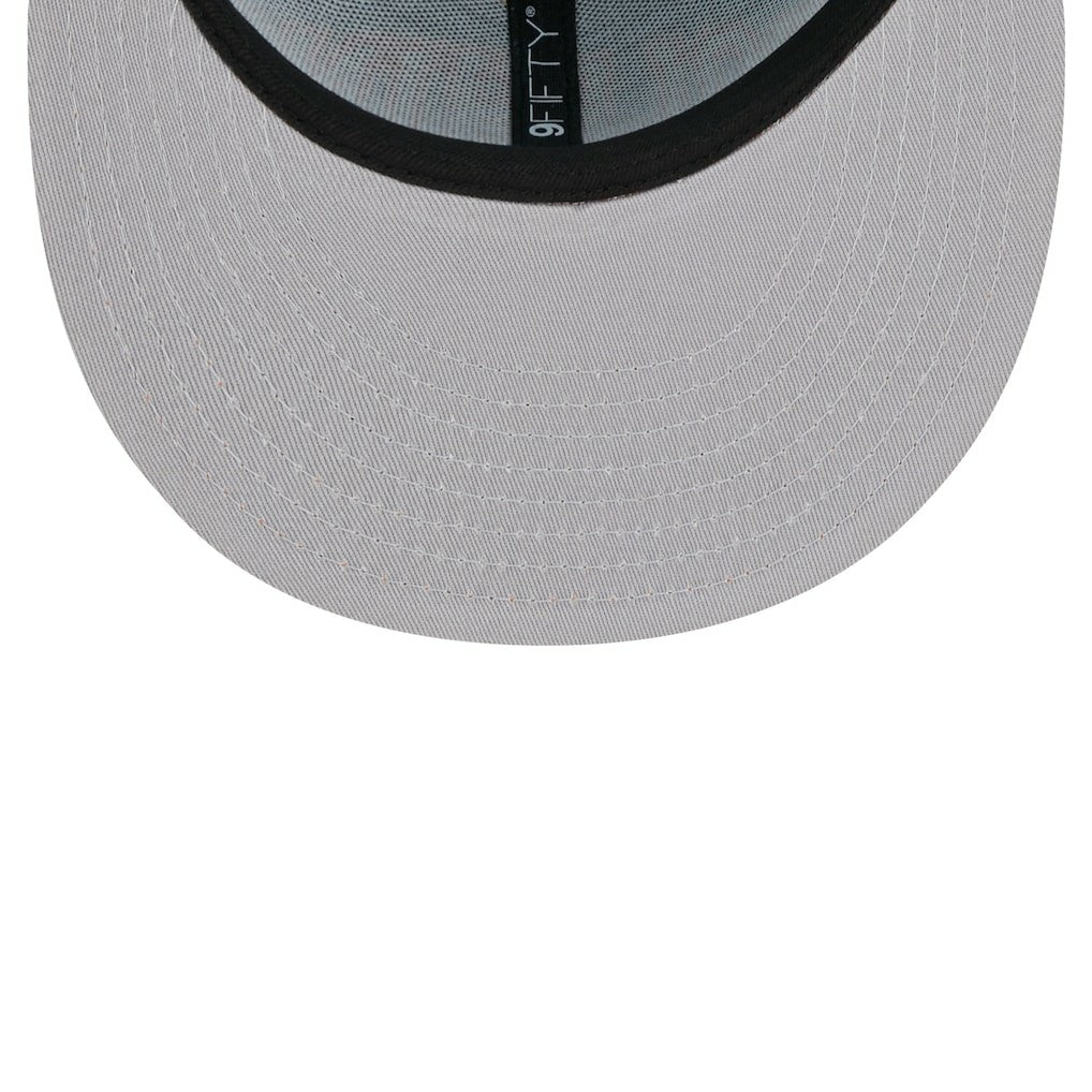 NFL Miami Dolphins Team Establish 9FIFTY Snapback Hat