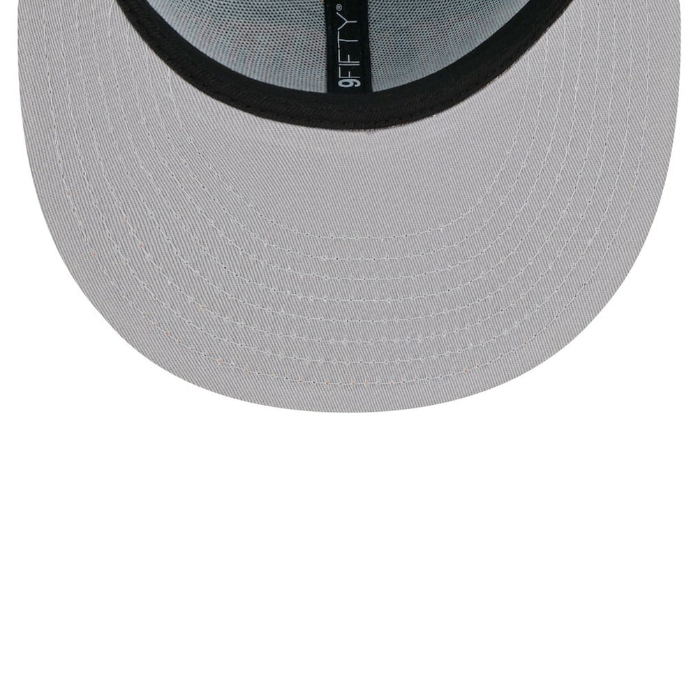NFL Miami Dolphins Team Establish 9FIFTY Snapback Hat