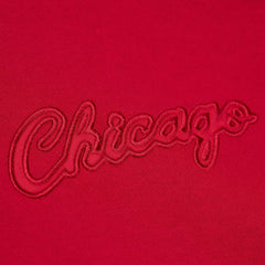 Chicago Bulls Hardwood Classics Tonal Pullover Hoodie sale - Red | Mitchell & Ness sale