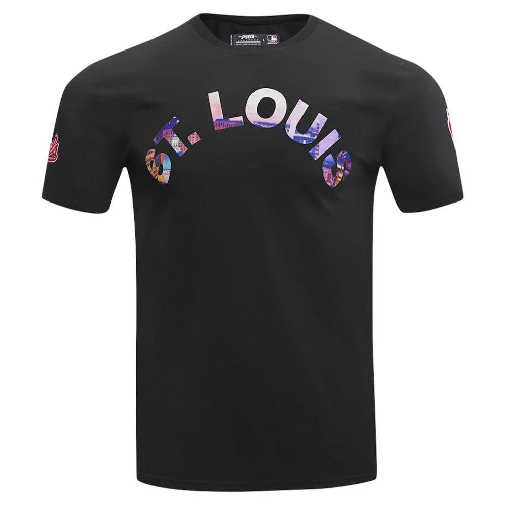 St. Louis Cardinals Pro Standard Cityscape T-Shirt - Black