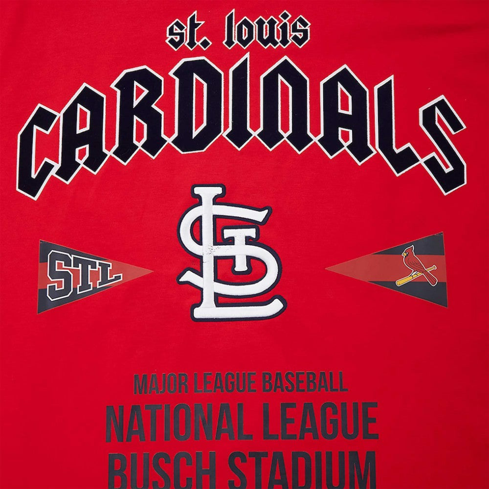St. Louis Cardinals Pro Standard Oversized City Tour T-Shirt - Red
