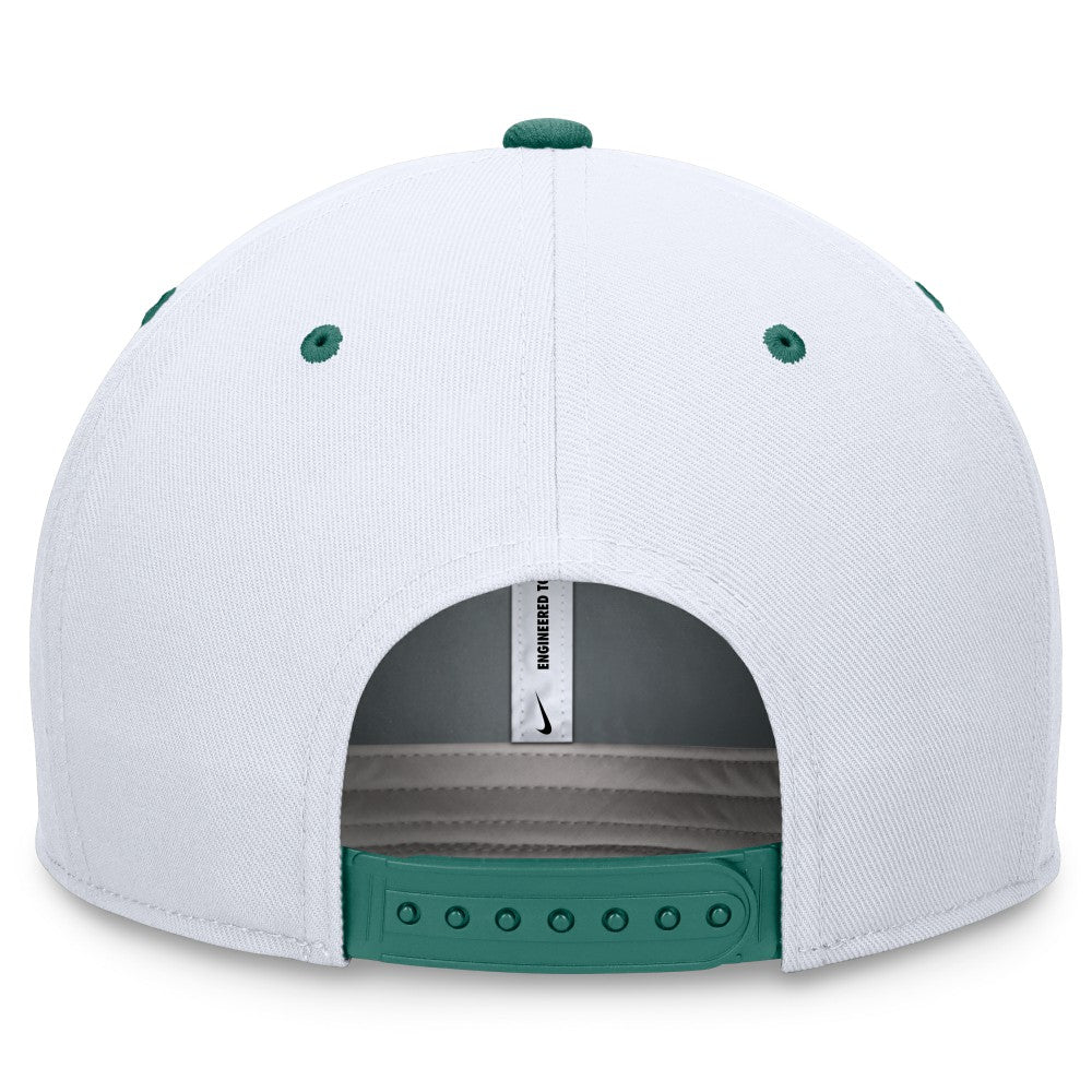 Minnesota Twins Bicoastal Two-Tone Pro Performance Snapback Hat - White/Green | Nike