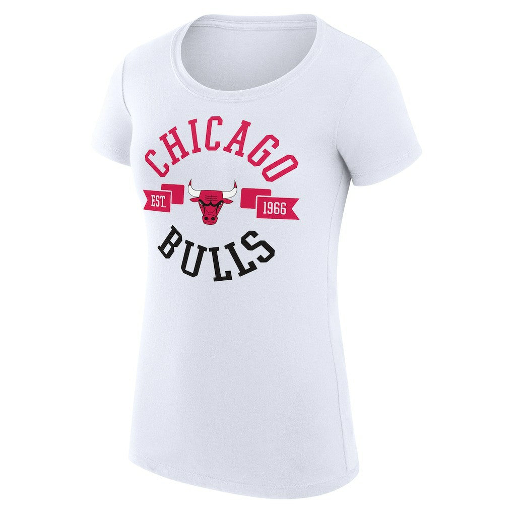 Chicago Bulls G-III 4Her by Carl Banks Women's Super-Slim Fit Lightweight Large City Logo T-Shirt sale - White discount