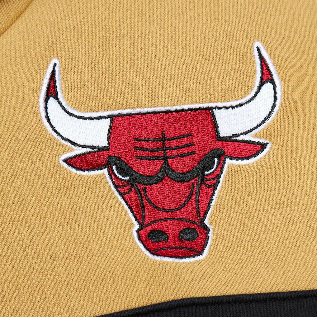 Chicago Bulls Head Coach Pullover Hoodie - Red/Gold | Mitchell & Ness for sale