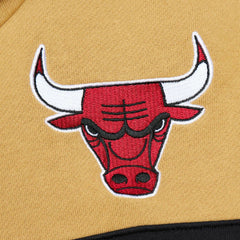 Chicago Bulls Head Coach Pullover Hoodie - Red/Gold | Mitchell & Ness for sale