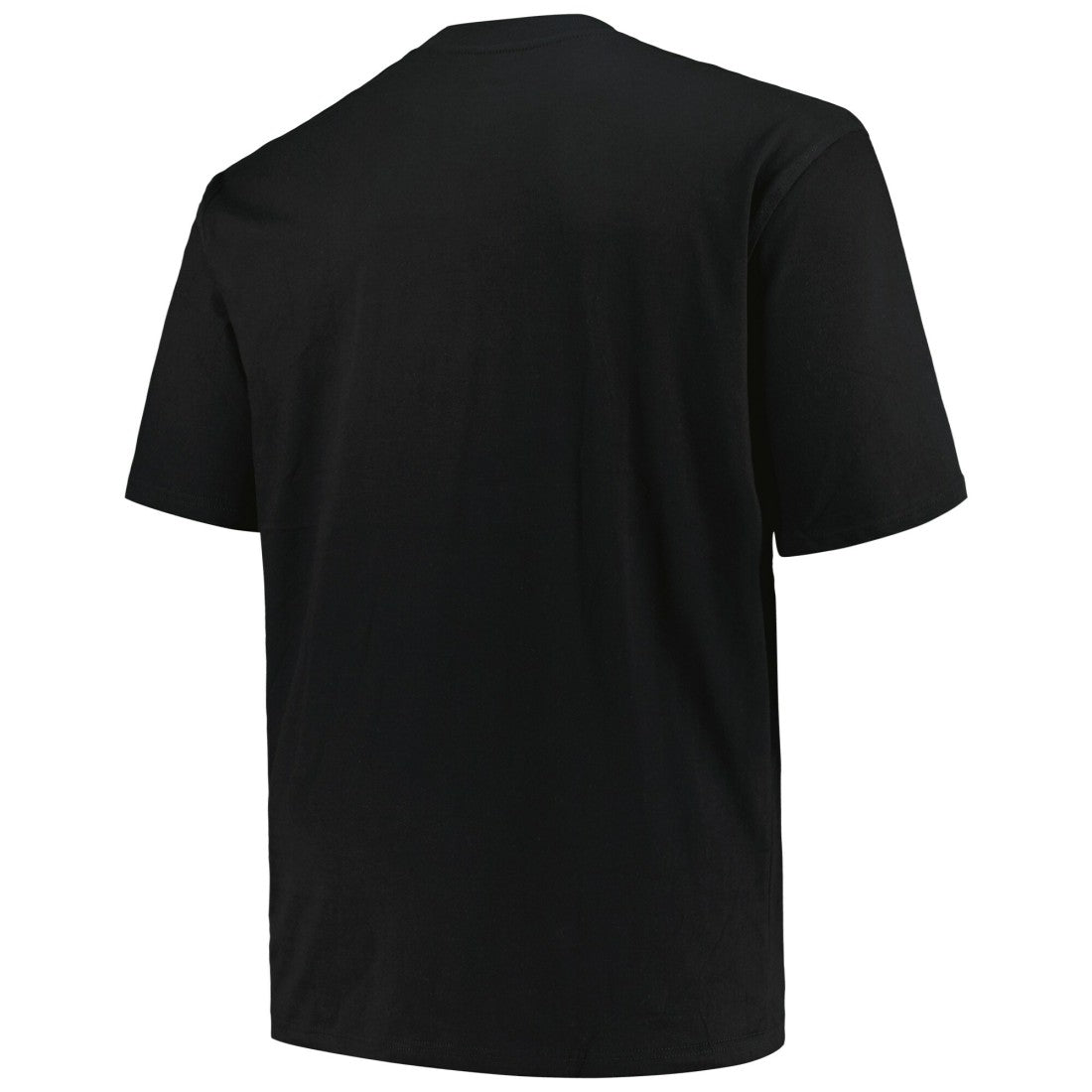 NFL Seattle Seahawks Big & Tall Pop T-Shirt