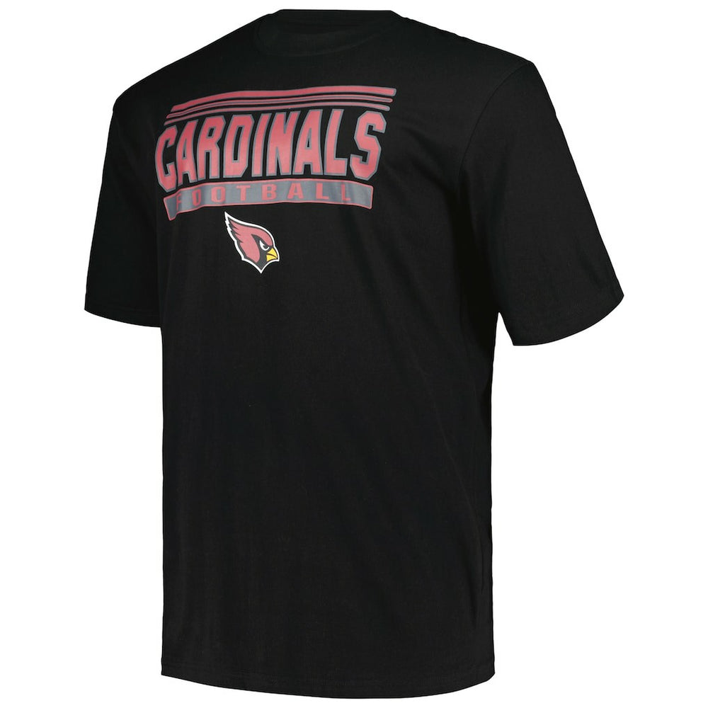 NFL Arizona Cardinals Big & Tall Pop T-Shirt