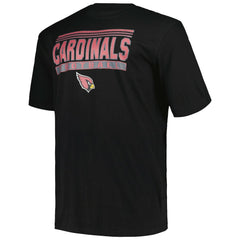 NFL Arizona Cardinals Big & Tall Pop T-Shirt