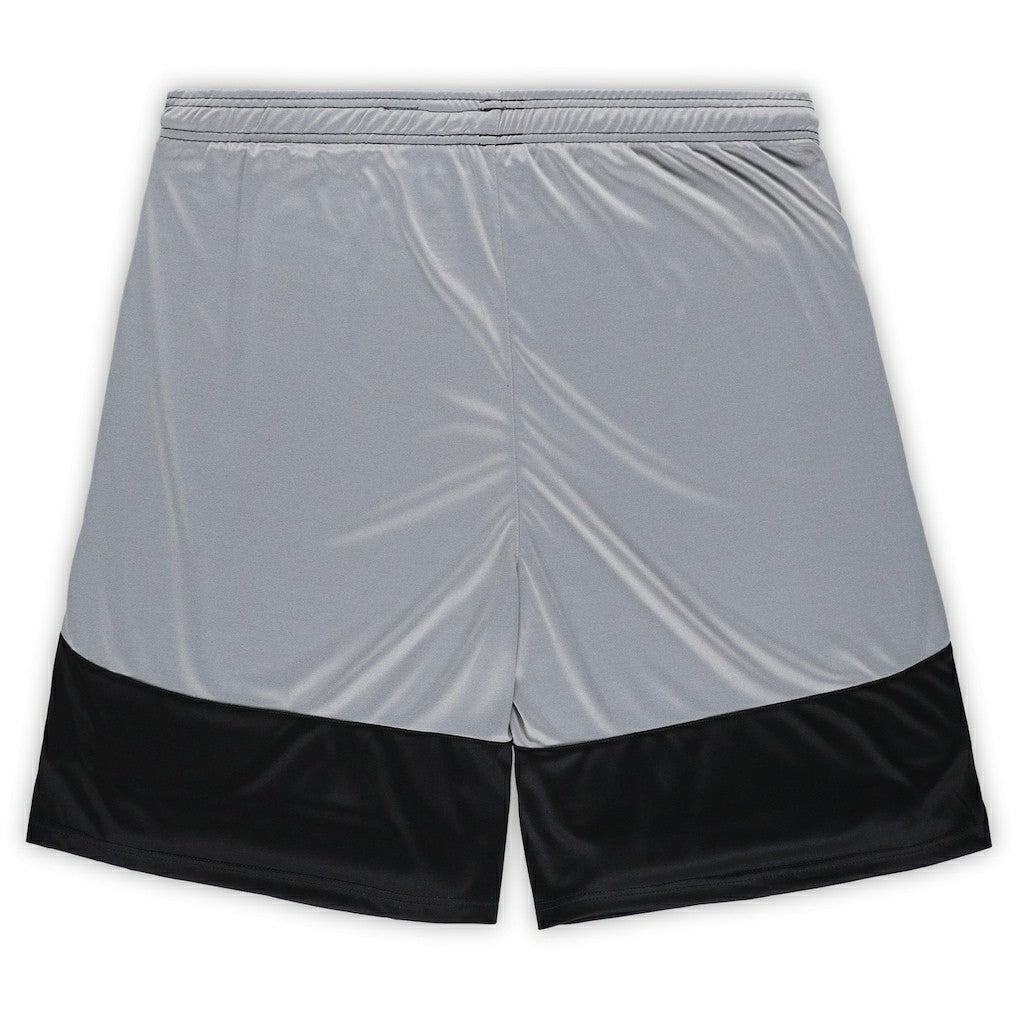 NFL Pittsburgh Steelers Big & Tall Team Logo Shorts