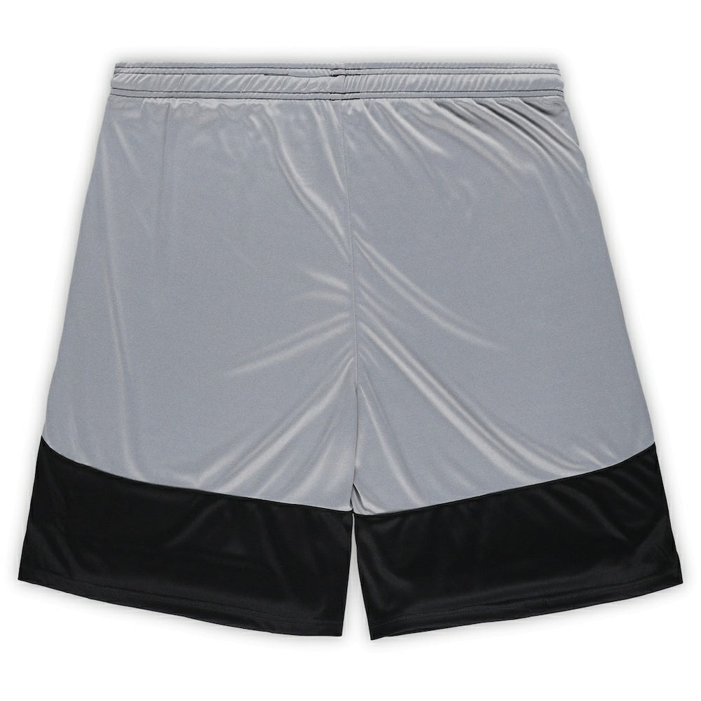 NFL Pittsburgh Steelers Big & Tall Team Logo Shorts