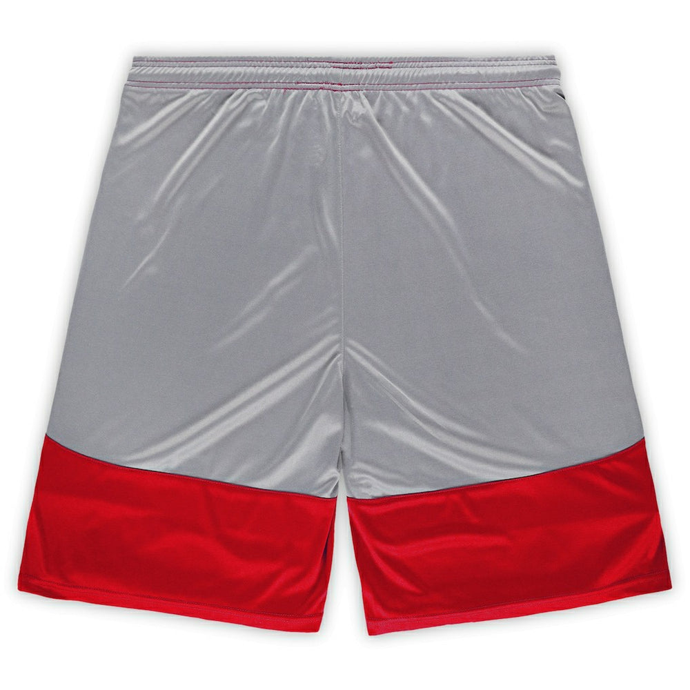 NFL San Francisco 49ers Big & Tall Team Logo Shorts