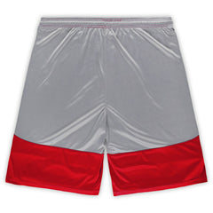 NFL San Francisco 49ers Big & Tall Team Logo Shorts