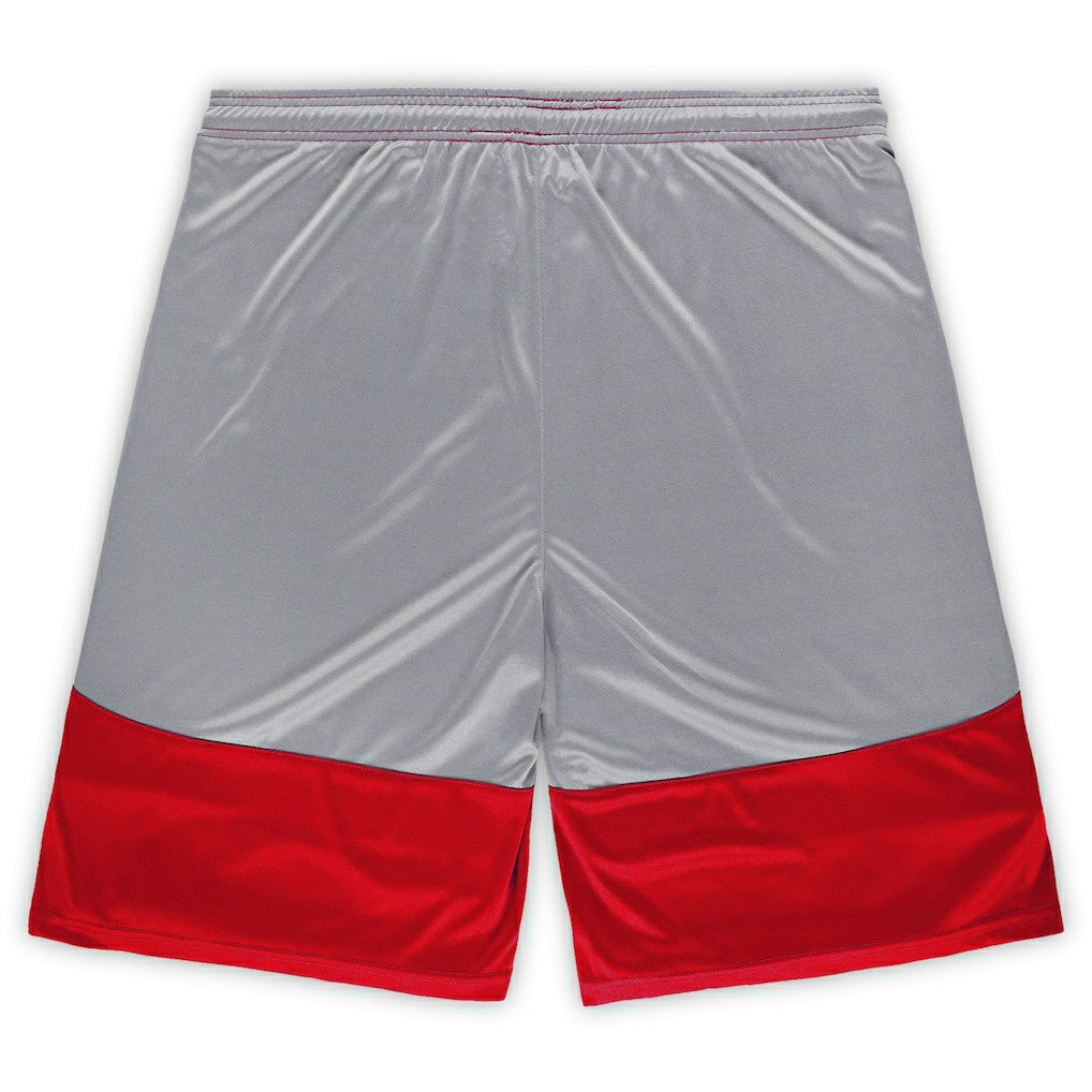 NFL Arizona Cardinals Big & Tall Team Logo Shorts