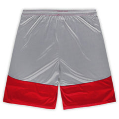 NFL Arizona Cardinals Big & Tall Team Logo Shorts
