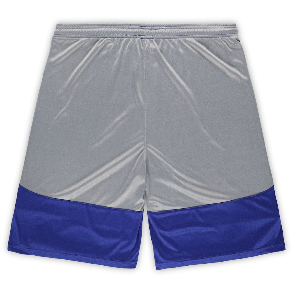 NFL Indianapolis Colts Big & Tall Team Logo Shorts