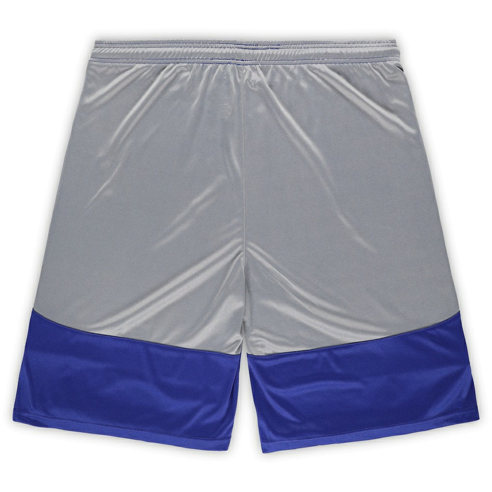 NFL Indianapolis Colts Big & Tall Team Logo Shorts