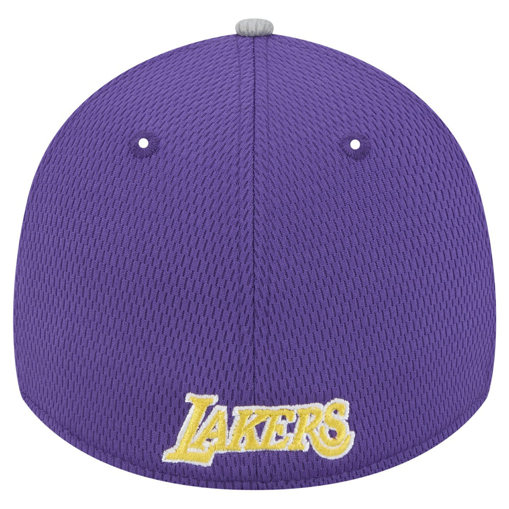 Los Angeles Lakers Active Trim 39THIRTY Flex Hat - Gray/Purple | New Era sale